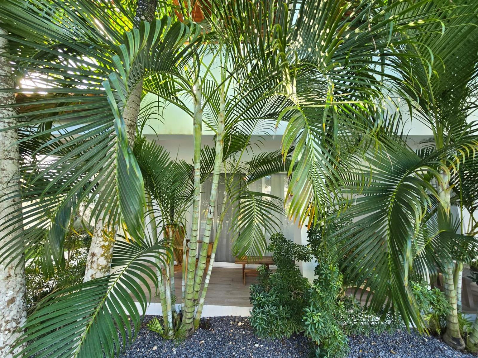 Residencial Paraiso Bayahibe Bagian luar foto